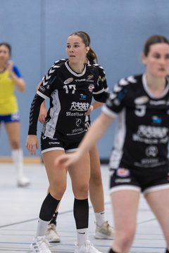 Bild 255 - F HSG Pinnau2 - Rellinger TV2 : Ergebnis: 27:20